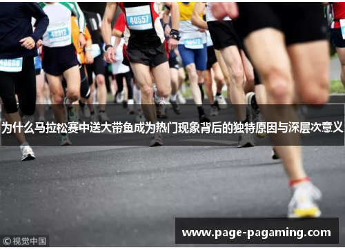 为什么马拉松赛中送大带鱼成为热门现象背后的独特原因与深层次意义