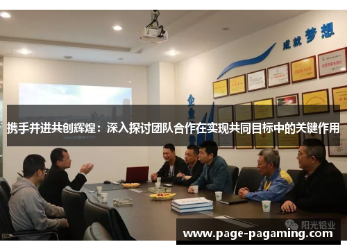 携手并进共创辉煌：深入探讨团队合作在实现共同目标中的关键作用