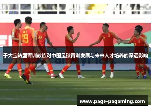 于大宝转型青训教练对中国足球青训发展与未来人才培养的深远影响