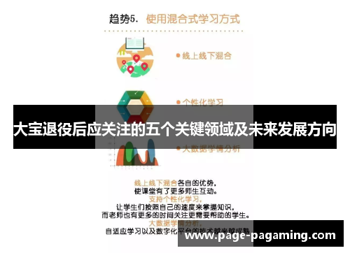 大宝退役后应关注的五个关键领域及未来发展方向