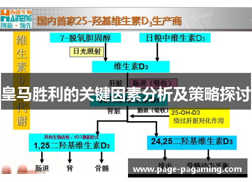 皇马胜利的关键因素分析及策略探讨