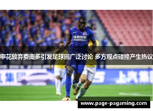 申花放弃费南多引发足球圈广泛讨论 多方观点碰撞产生热议