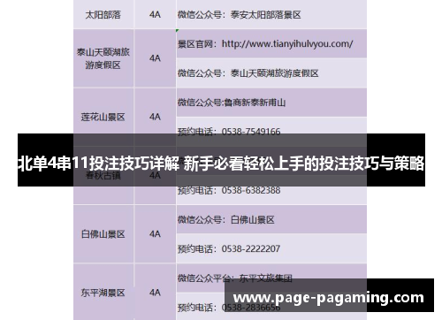 北单4串11投注技巧详解 新手必看轻松上手的投注技巧与策略