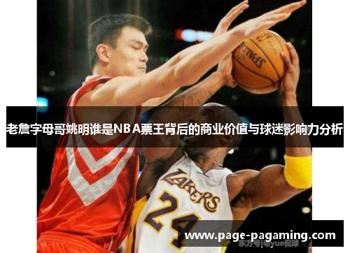 老詹字母哥姚明谁是NBA票王背后的商业价值与球迷影响力分析