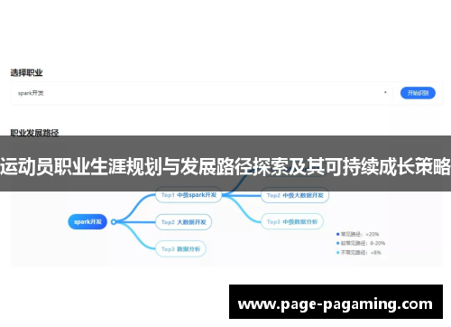 运动员职业生涯规划与发展路径探索及其可持续成长策略