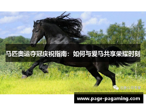 马匹奥运夺冠庆祝指南:如何与爱马共享荣耀时刻