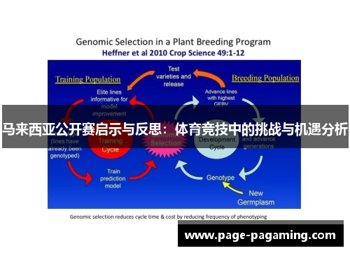 马来西亚公开赛启示与反思：体育竞技中的挑战与机遇分析