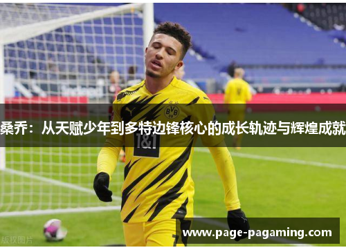 桑乔：从天赋少年到多特边锋核心的成长轨迹与辉煌成就